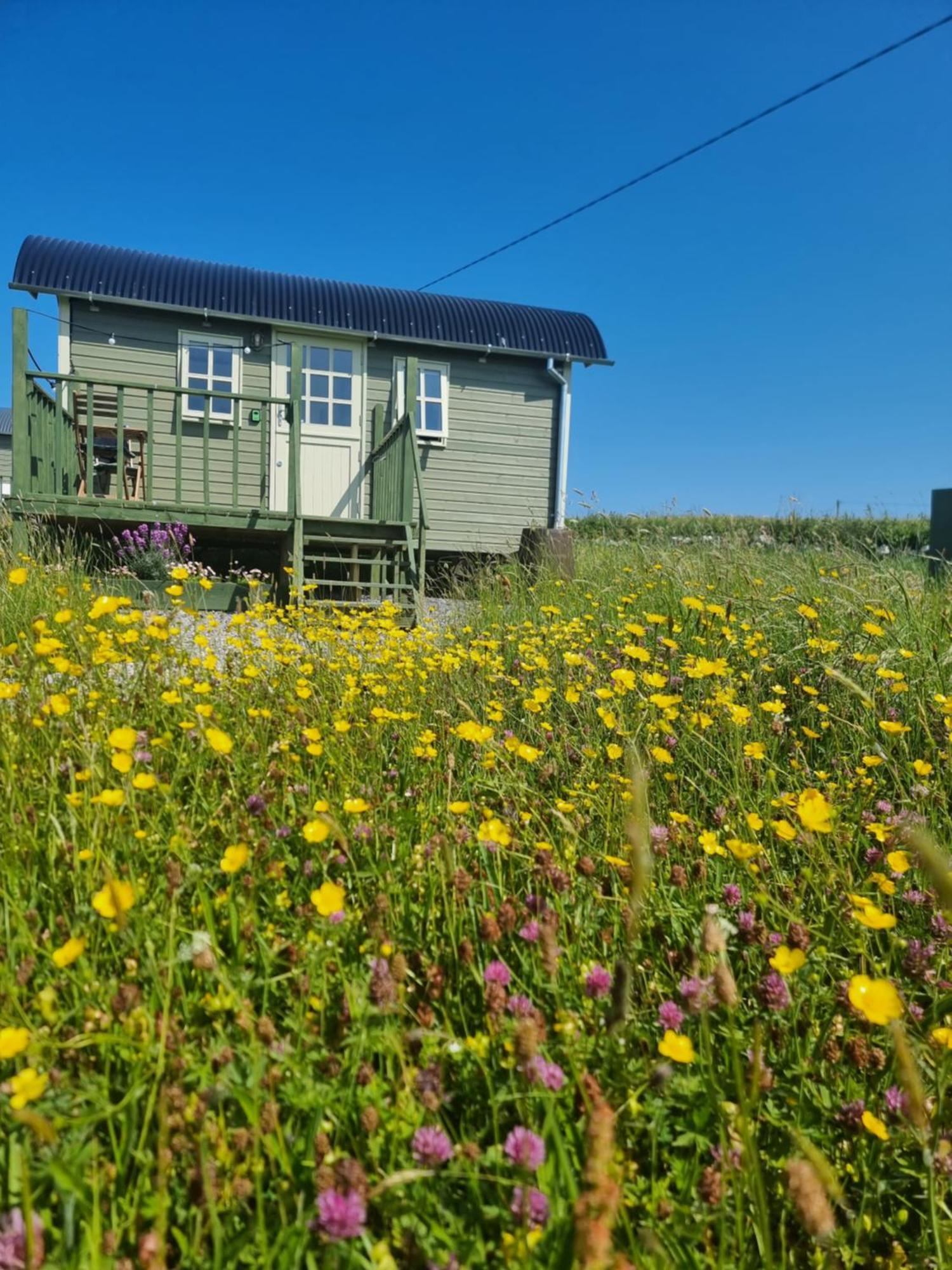הוילה דולין Wild Meadow Huts מראה חיצוני תמונה