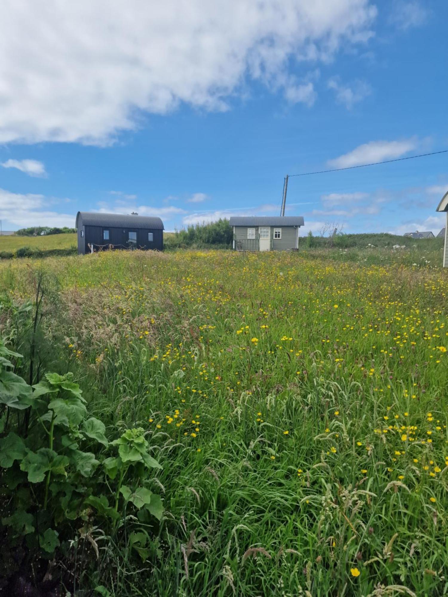 הוילה דולין Wild Meadow Huts מראה חיצוני תמונה