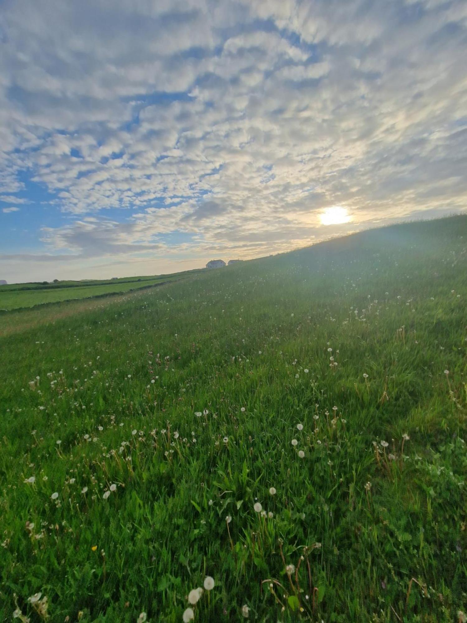 הוילה דולין Wild Meadow Huts מראה חיצוני תמונה