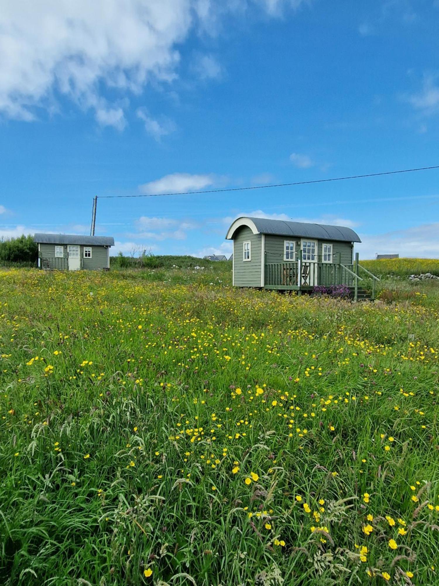 הוילה דולין Wild Meadow Huts מראה חיצוני תמונה
